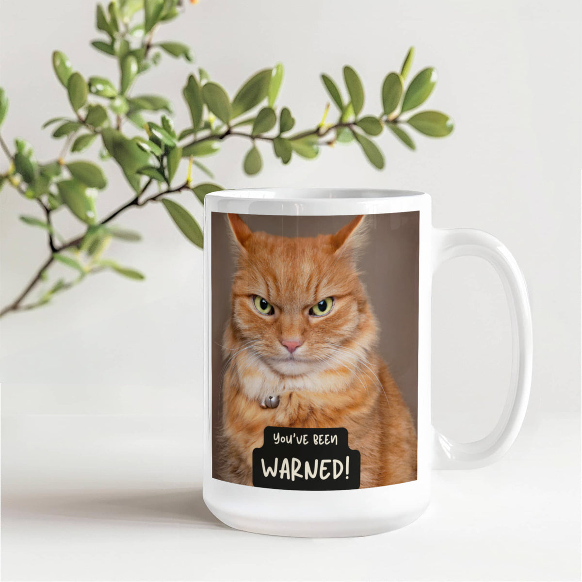 You've Been Warned 15 oz. Mug