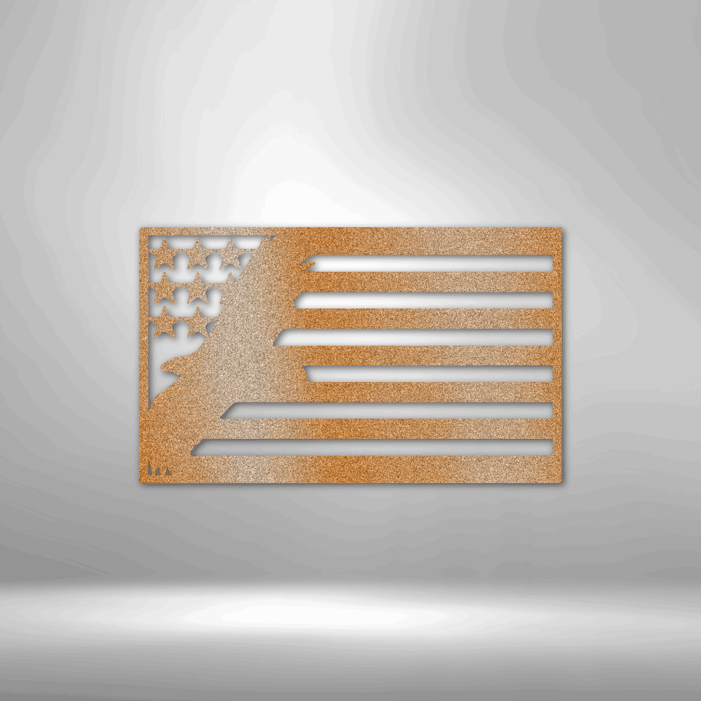 USA Eagle - Steel Sign
