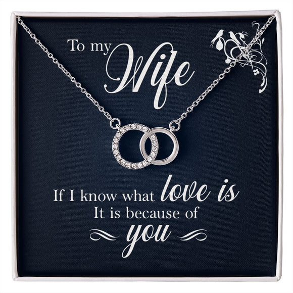 Perfect Pair Necklace, For Girlfriend, Wife, Christmas, Birthday, Valentine's Day, Anniversary, Custom Message Card